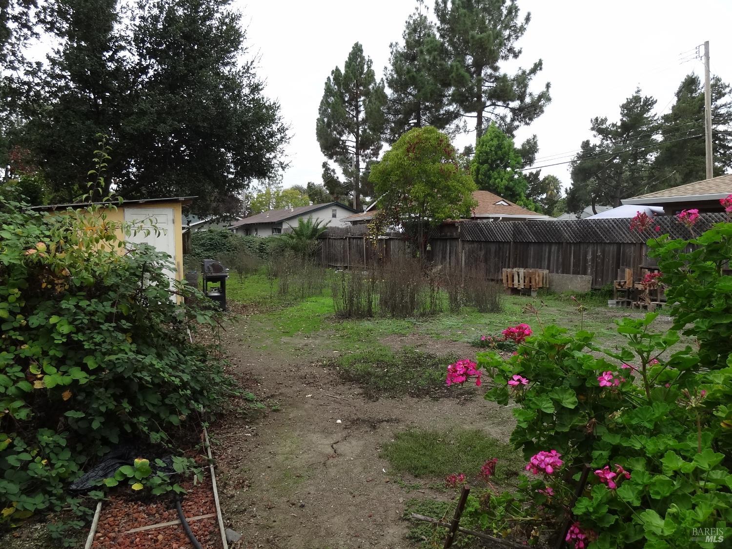 1005 Temple Avenue Santa Rosa, CA 95404 - Photo 3 of 20 a garden view