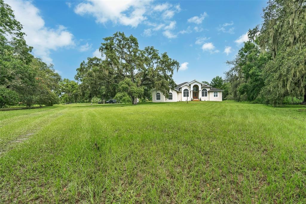 a view of a grassy field with trees