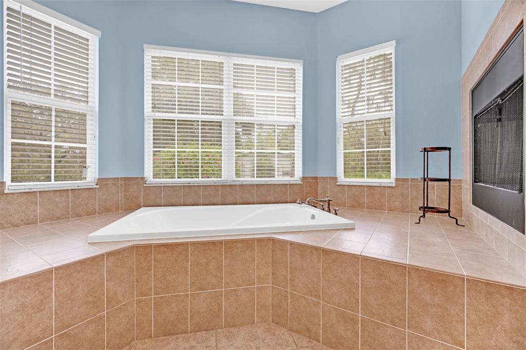 9824 Brantley Road Lithia, FL 33547 - Photo 19 of 38 a spacious bathroom with sink and a bathtub with windows