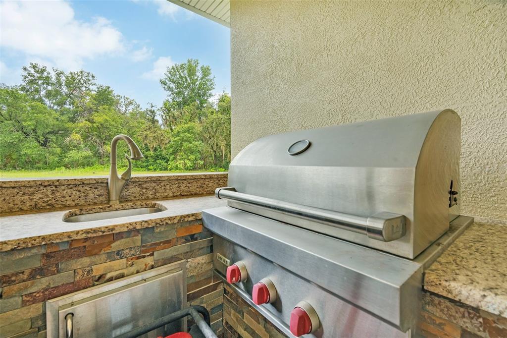 9824 Brantley Road Lithia, FL 33547 - Photo 31 of 38 a close view of stove
