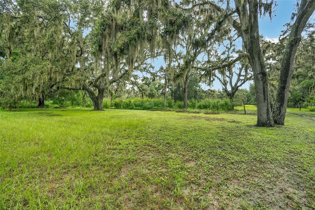 9824 Brantley Road Lithia, FL 33547 - Photo 34 of 38 a view of a field with trees in front of it