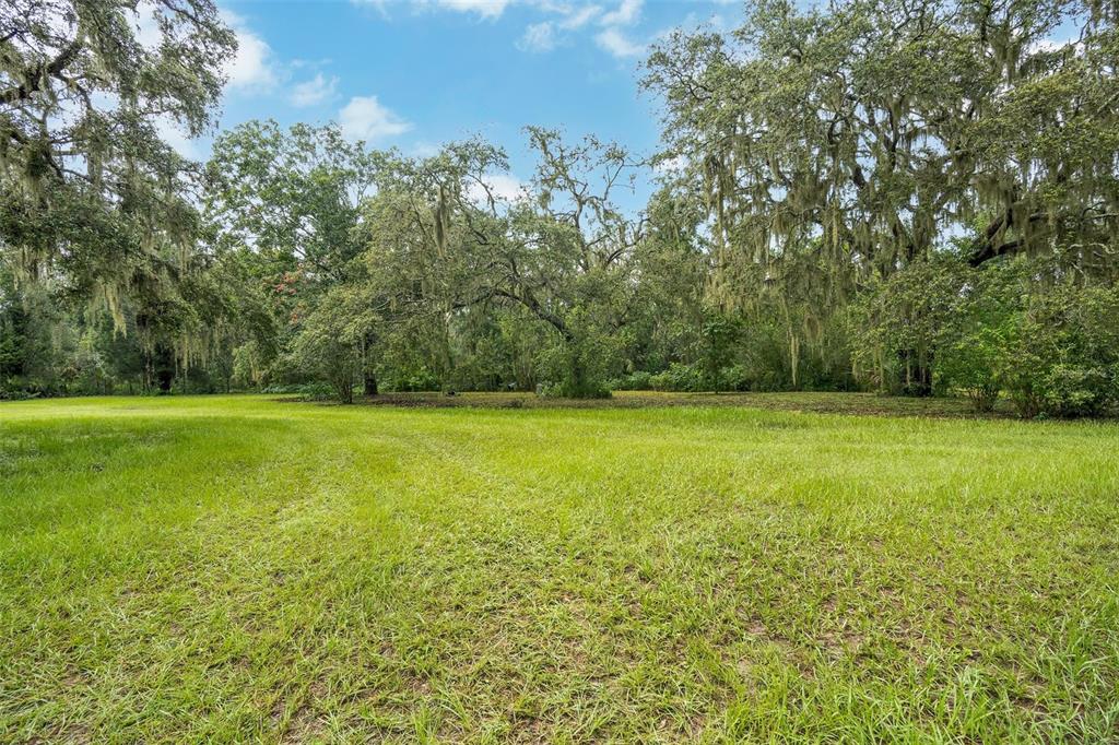 9824 Brantley Road Lithia, FL 33547 - Photo 35 of 38 a view of a field with an trees