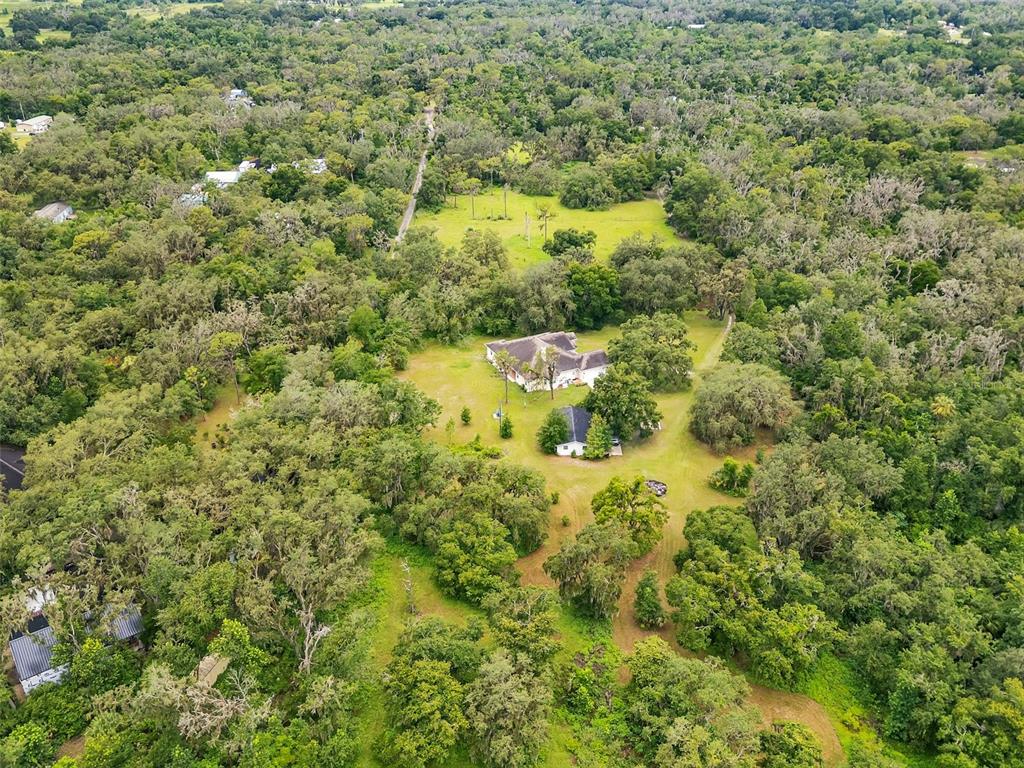 9824 Brantley Road Lithia, FL 33547 - Photo 38 of 38 a view of a big yard with plants and large trees