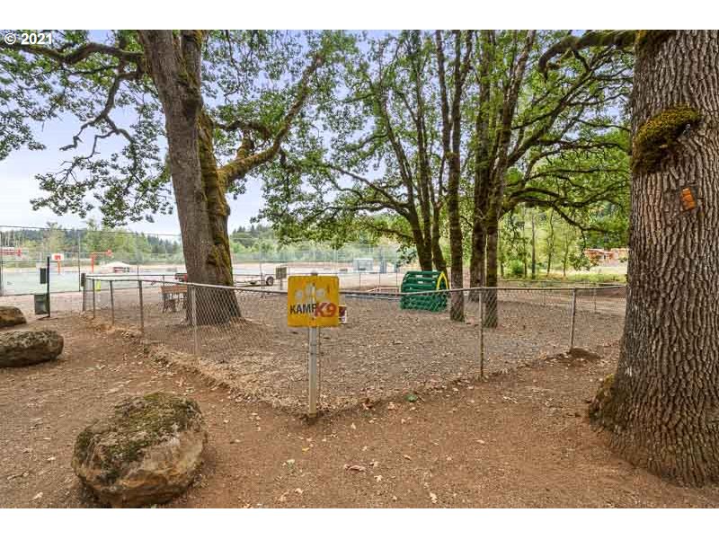 8372 Enchanted Way Southeast, Unit 192 Turner, OR 97392 - Photo 25 of 27 a view of a outdoor space with trees
