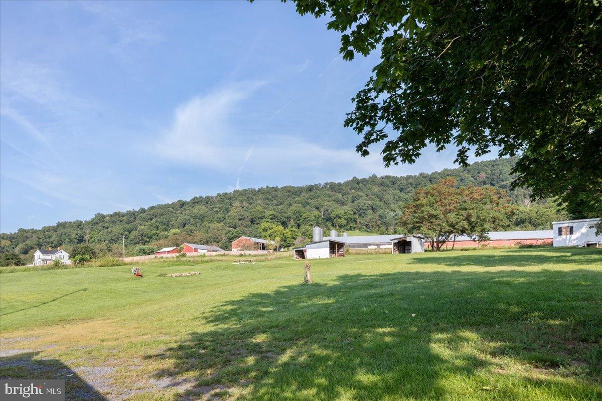 919 Ridge Hollow Road Edinburg, VA 22824 - Photo 30 of 35 Sprawling countryside with lush greenery.