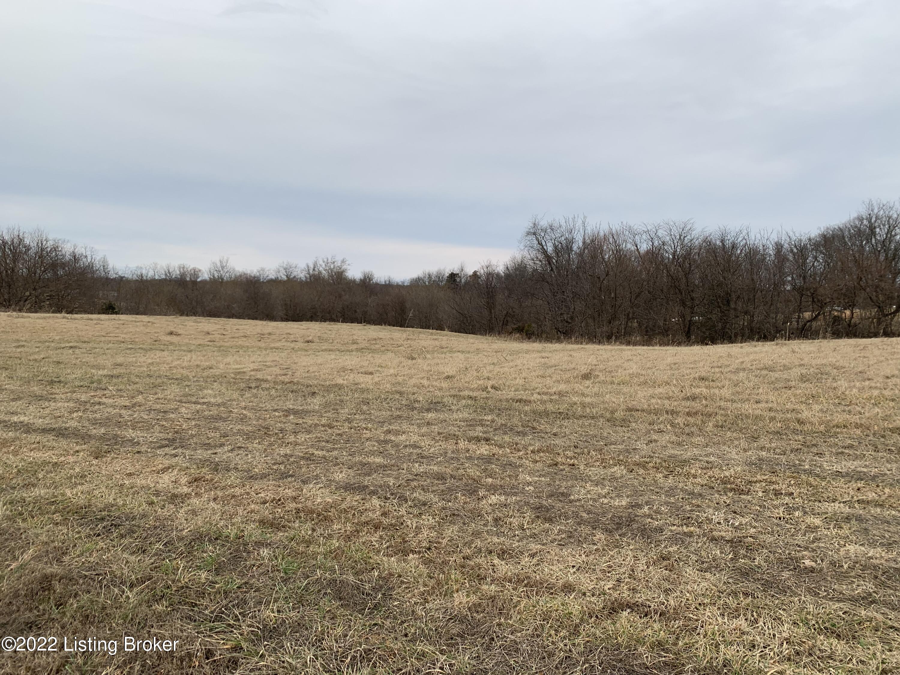 Tract #2 Tract Road Bagdad, KY 40003 - Photo 1 of 6 Land