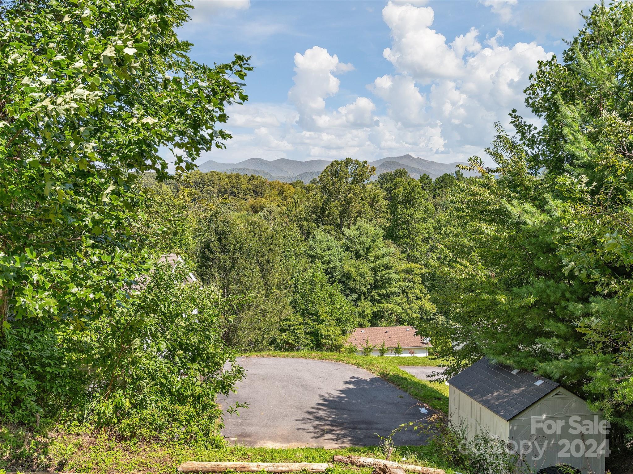 33 Goose Creek Road Swannanoa, NC 28778 - Photo 17 of 18