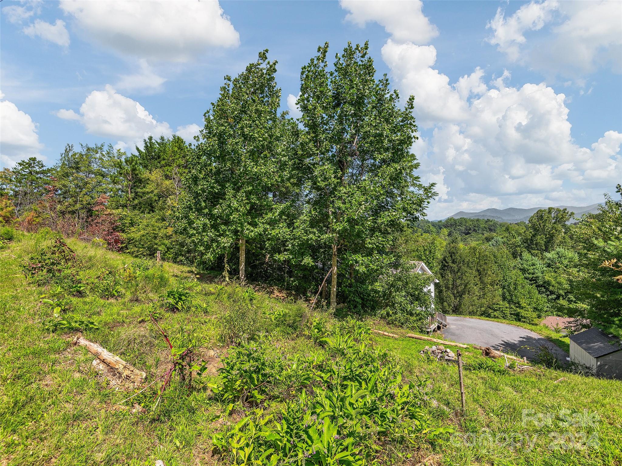 33 Goose Creek Road Swannanoa, NC 28778 - Photo 18 of 18