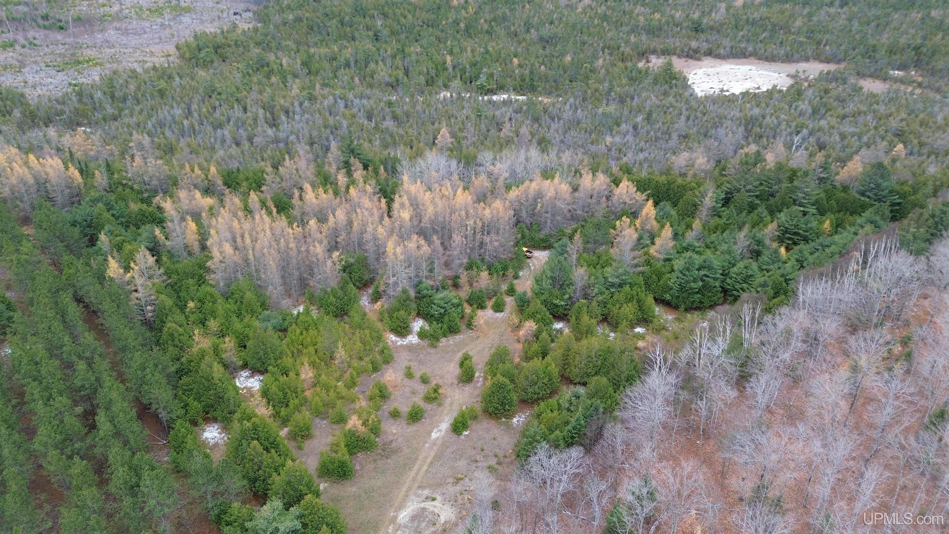 Tbd Tbd Appleford Road Moran, MI 49760 - Photo 15 of 24