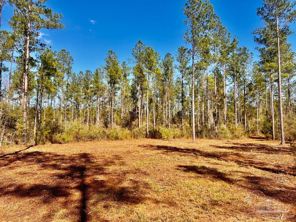 Lot 4 Denali Road Jay, FL 32565 - Photo 11 of 29