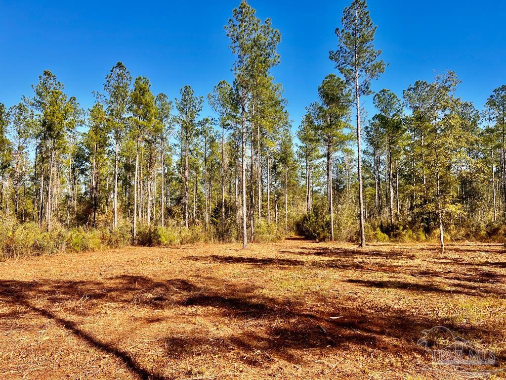 Lot 4 Denali Road Jay, FL 32565 - Photo 13 of 29