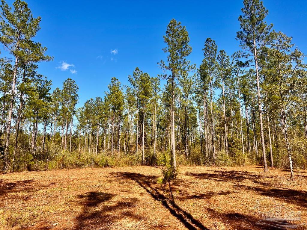 Lot 4 Denali Road Jay, FL 32565 - Photo 14 of 29