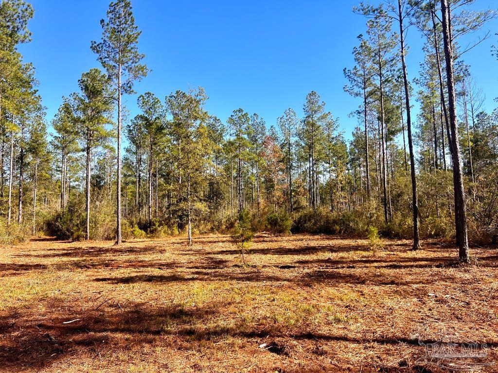 Lot 4 Denali Road Jay, FL 32565 - Photo 16 of 29