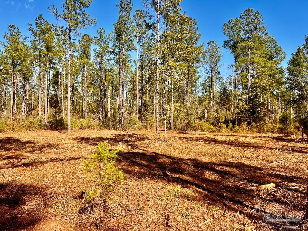 Lot 4 Denali Road Jay, FL 32565 - Photo 17 of 29