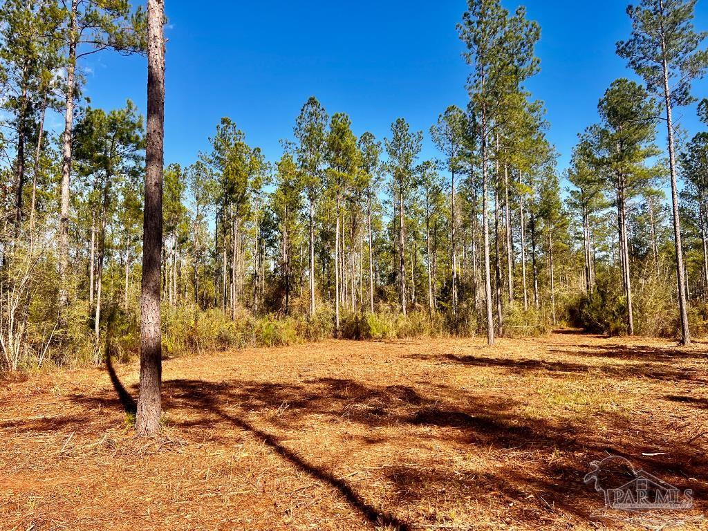Lot 4 Denali Road Jay, FL 32565 - Photo 18 of 29