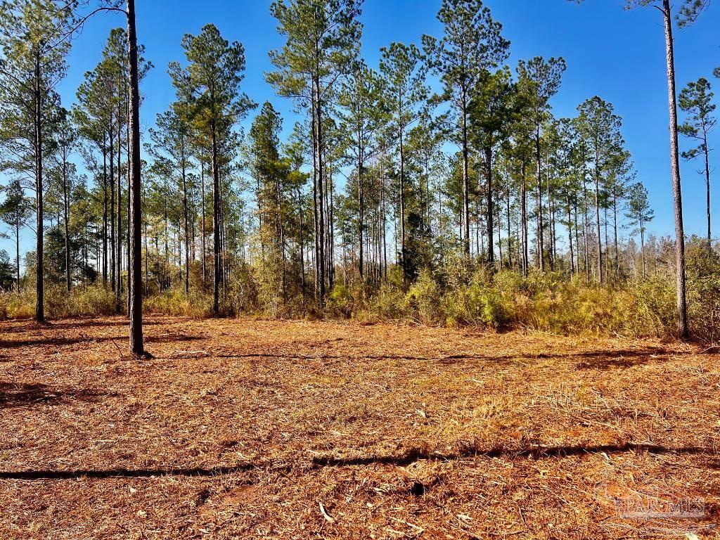 Lot 4 Denali Road Jay, FL 32565 - Photo 19 of 29