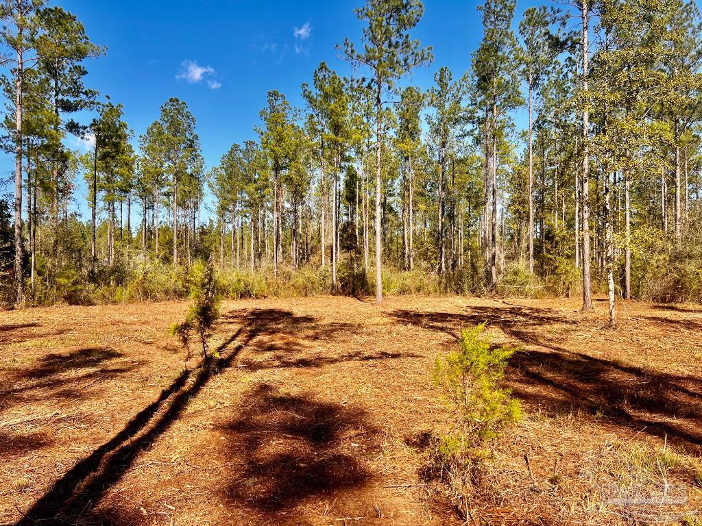 Lot 4 Denali Road Jay, FL 32565 - Photo 21 of 29