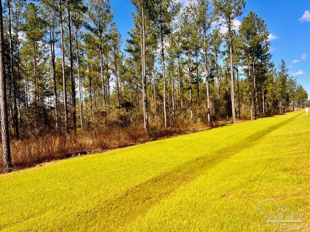 Lot 4 Denali Road Jay, FL 32565 - Photo 7 of 29