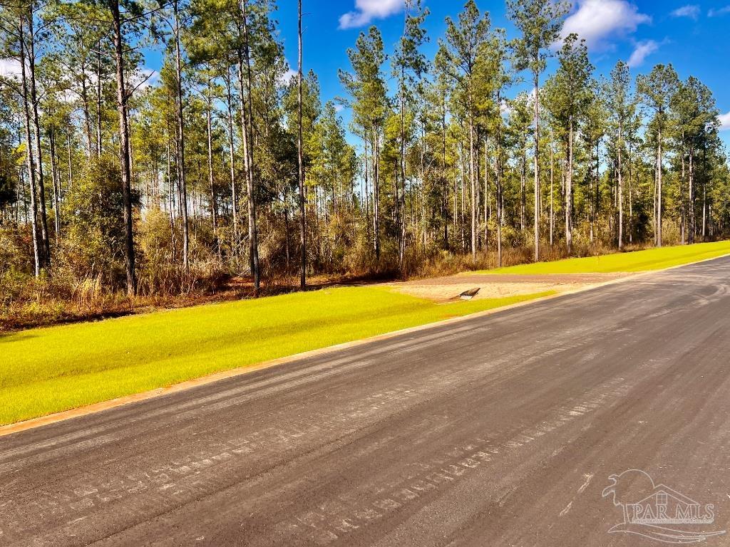Lot 4 Denali Road Jay, FL 32565 - Photo 8 of 29