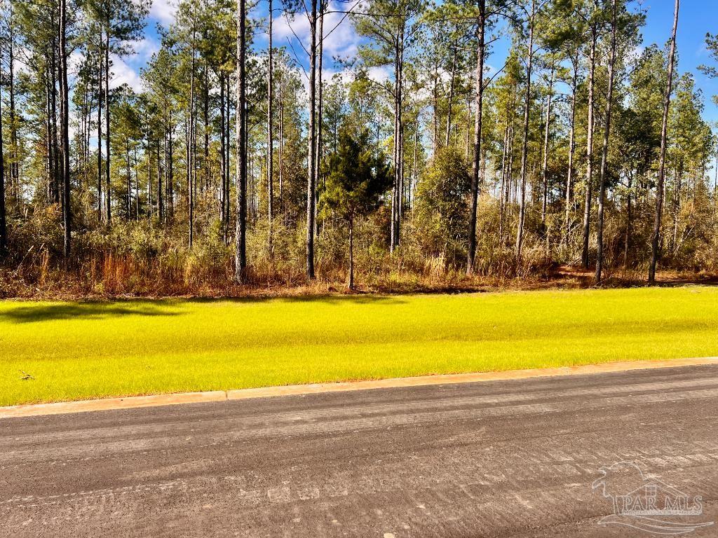 Lot 4 Denali Road Jay, FL 32565 - Photo 9 of 29