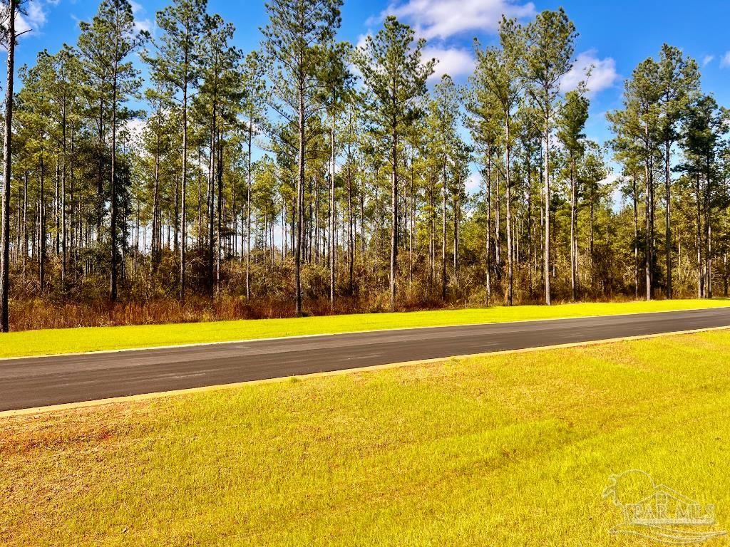 Lot 4 Denali Road Jay, FL 32565 - Photo 10 of 29