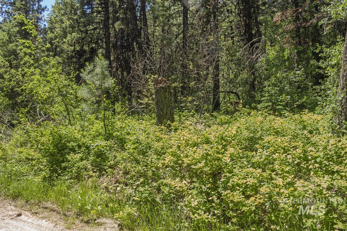 513 Susan Road Cascade, ID 83611 - Photo 2 of 9