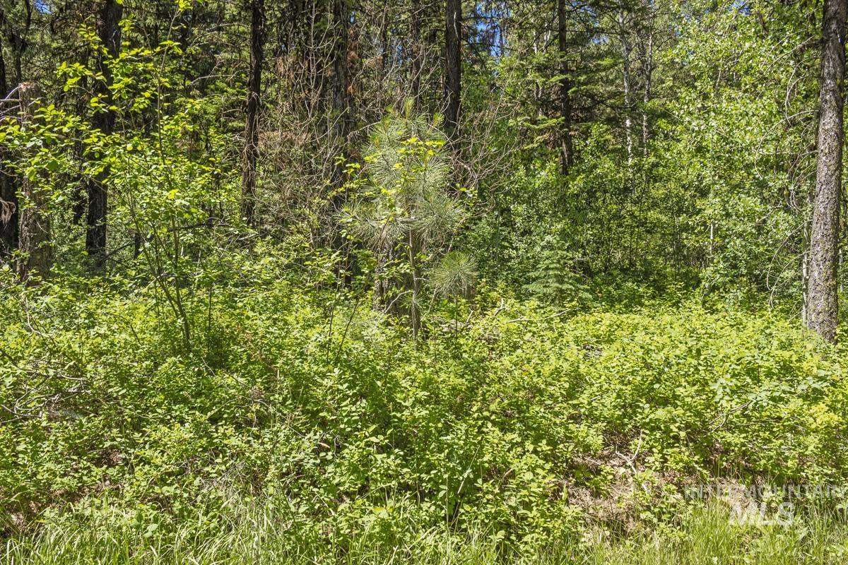 513 Susan Road Cascade, ID 83611 - Photo 3 of 9