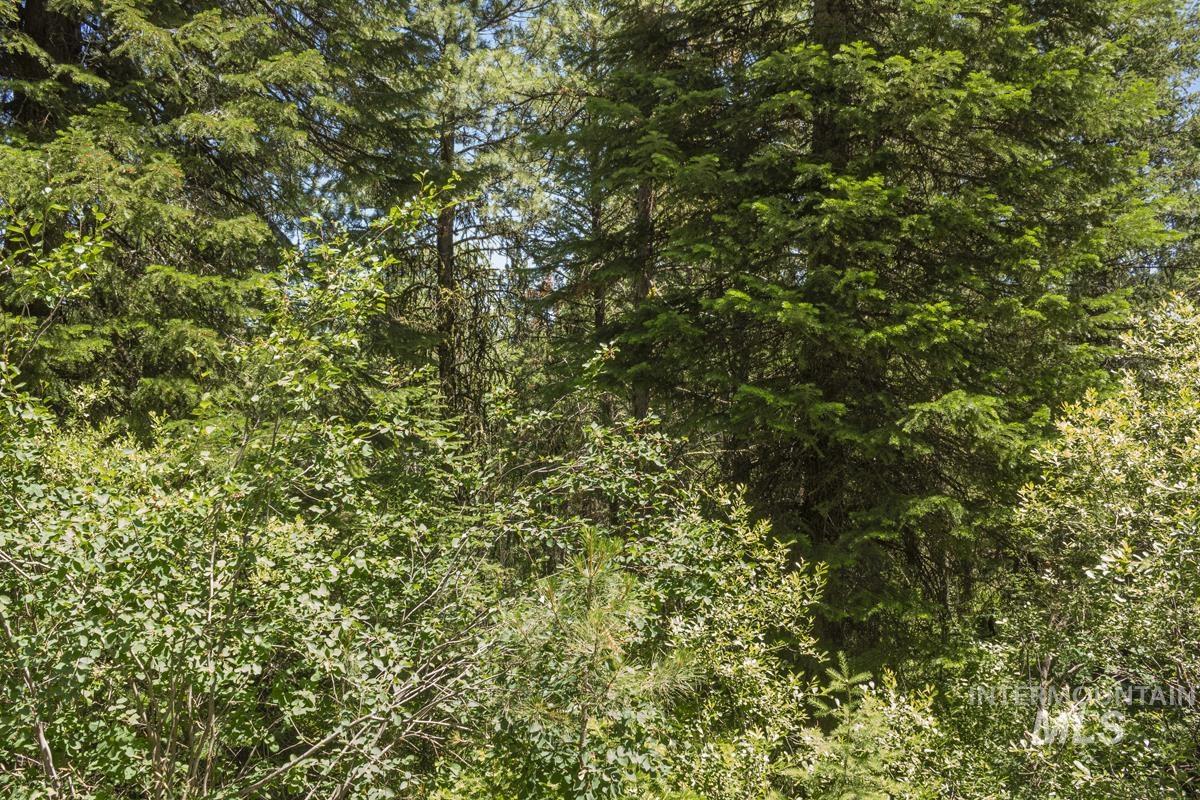 513 Susan Road Cascade, ID 83611 - Photo 5 of 9