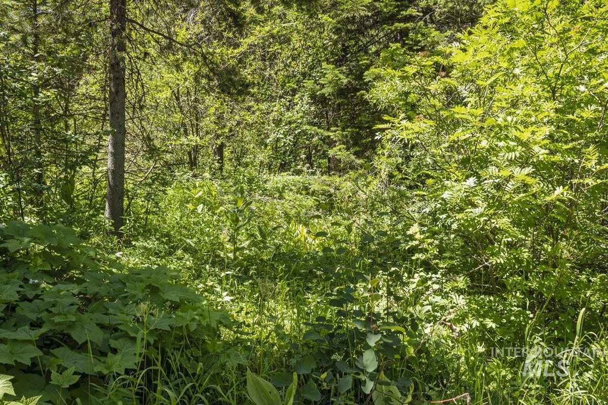 513 Susan Road Cascade, ID 83611 - Photo 6 of 9