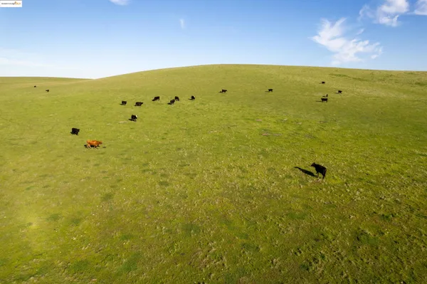 $6,695,000 | 0 Camino Diablo, Byron, CA 94514