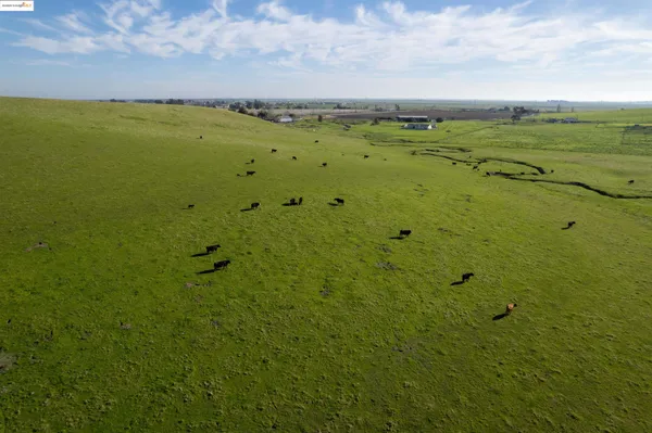 $6,695,000 | 0 Camino Diablo, Byron, CA 94514