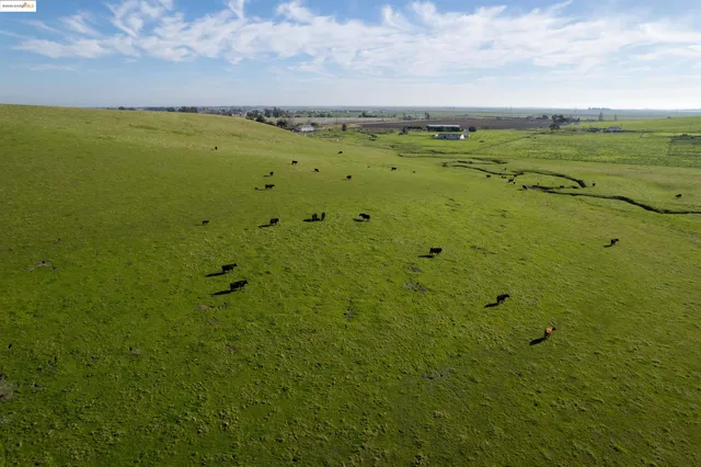 a view of a lake with a yard