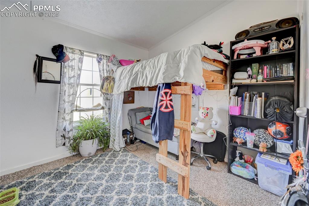 5525 South Johnson Road Rush, CO 80833 - Photo 28 of 35