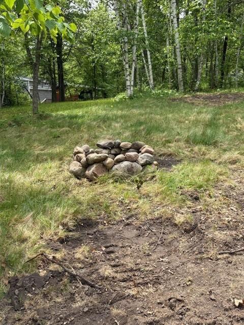 30427 Yellowleaf Trail Breezy Point, MN 56472 - Photo 6 of 11