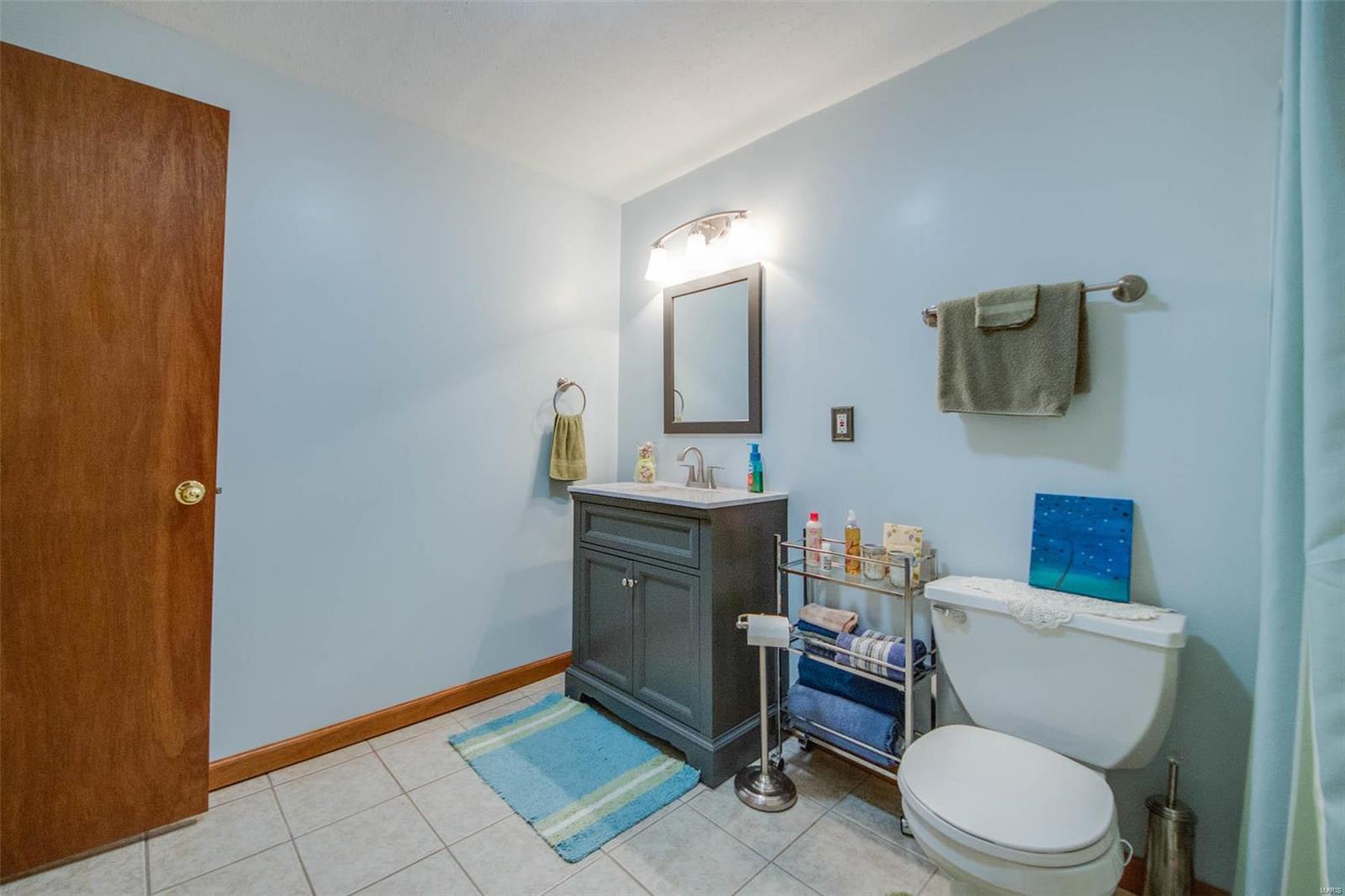 9 Willow Way Brighton, IL 62012 - Photo 34 of 46