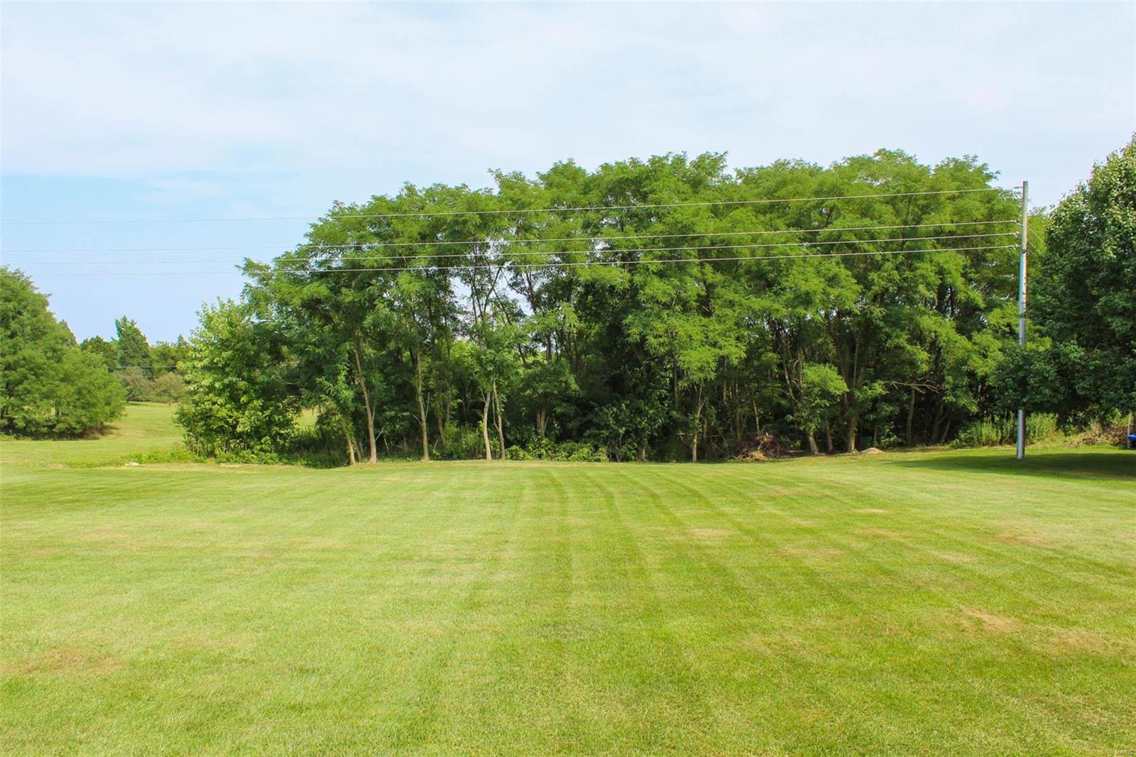9 Willow Way Brighton, IL 62012 - Photo 45 of 46