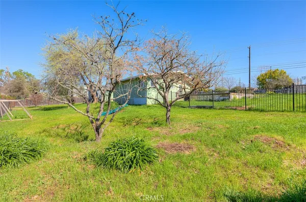 a view of yard with green space
