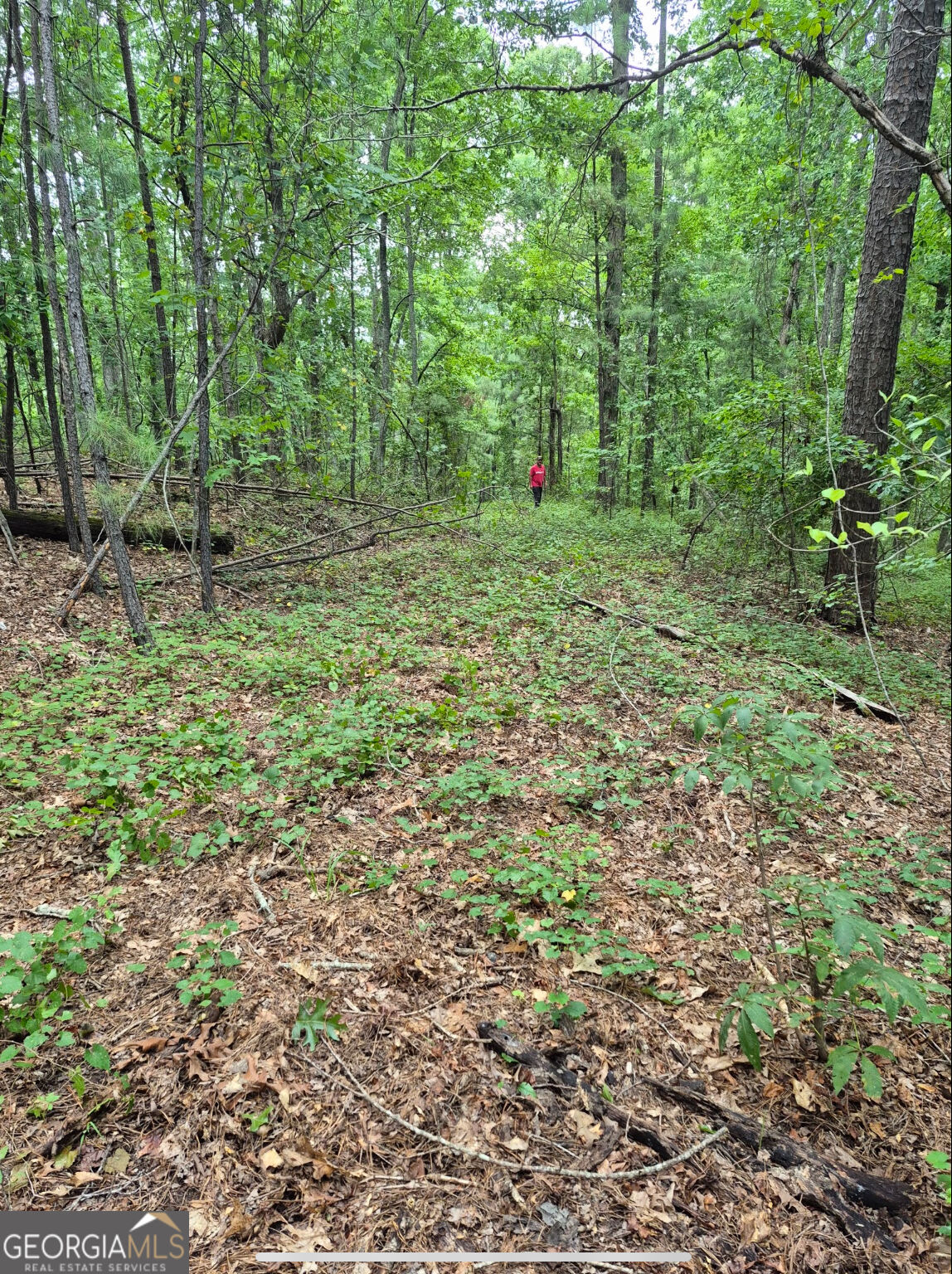 0 Brazell Road Fairburn, GA 30213 - Photo 19 of 27 Gallery Image 19