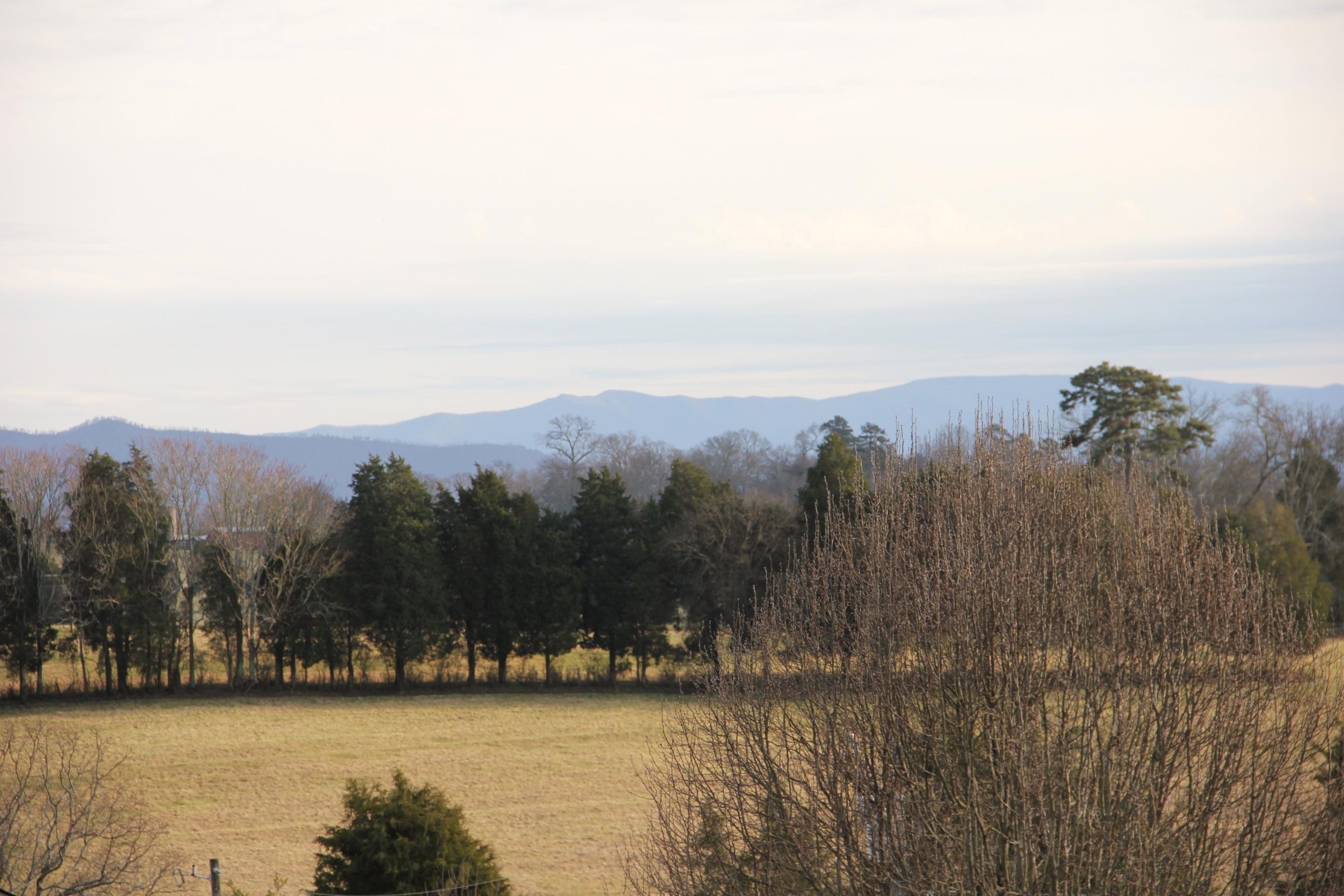 4023 Big Springs Ridge Road Friendsville, TN 37737 - Photo 23 of 27 IMG_8886 - Copy