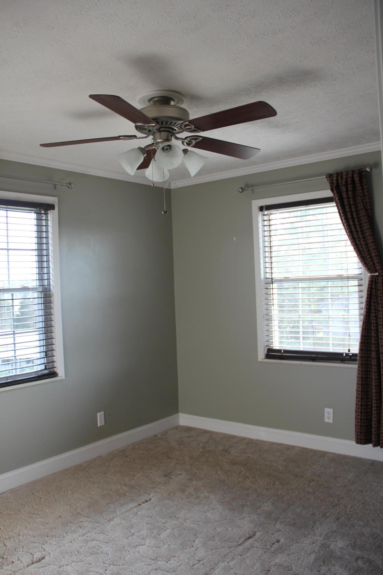 4023 Big Springs Ridge Road Friendsville, TN 37737 - Photo 24 of 27 IMG_8889 - Copy