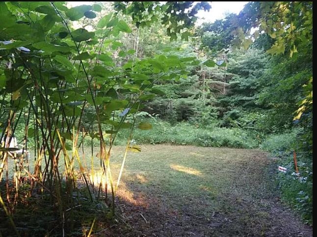 0 South Good Harbor Trail, Unit PARCEL B Cedar, MI 49621 - Photo 6 of 19