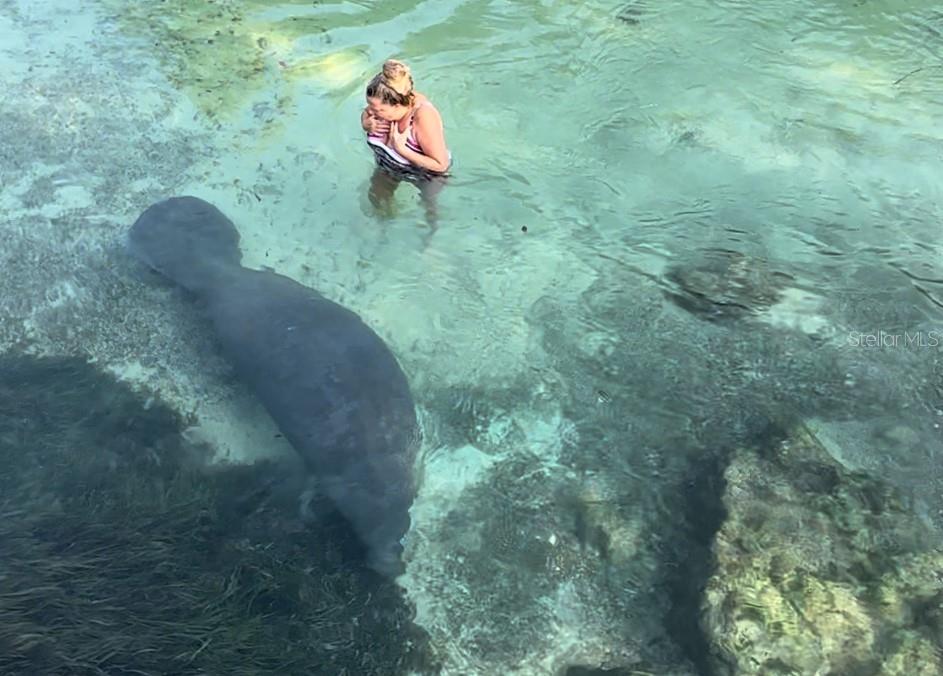 6499 Nebula Street Weeki Wachee, FL 34613 - Photo 3 of 54 a view of a wooden fence and floor