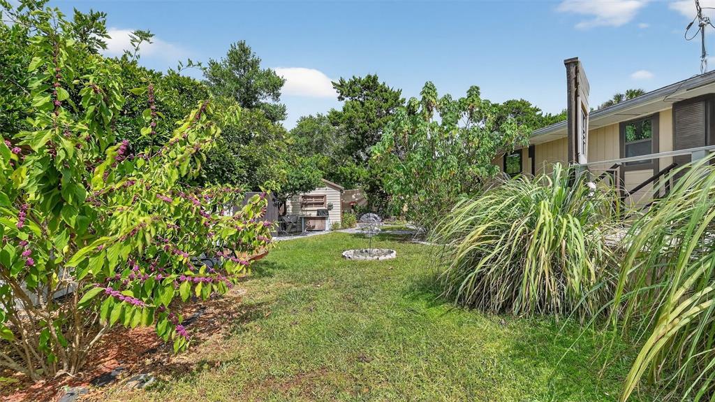 6499 Nebula Street Weeki Wachee, FL 34613 - Photo 34 of 54 a green field with lots of trees