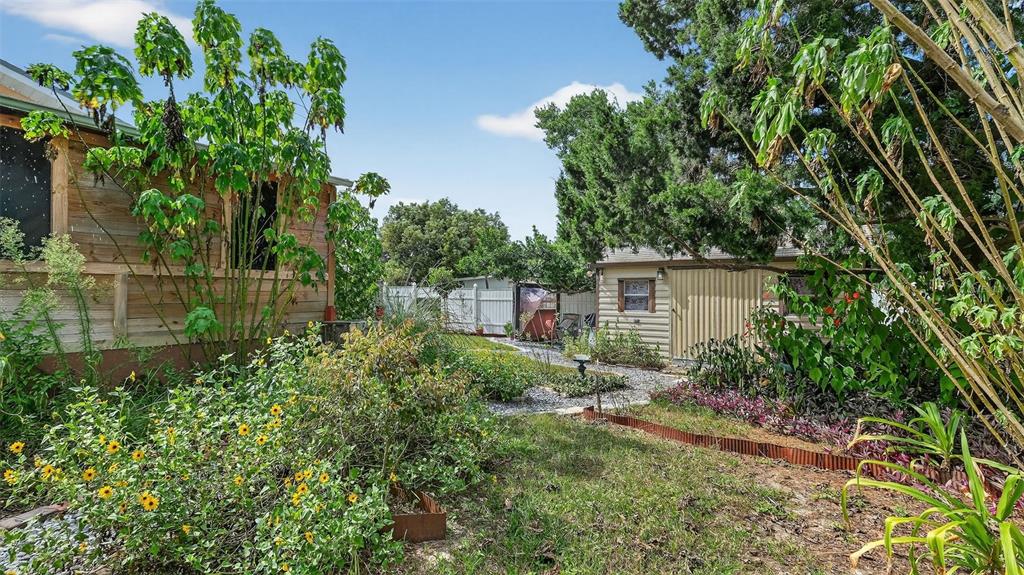 6499 Nebula Street Weeki Wachee, FL 34613 - Photo 39 of 54 a backyard of a house with lots of green space