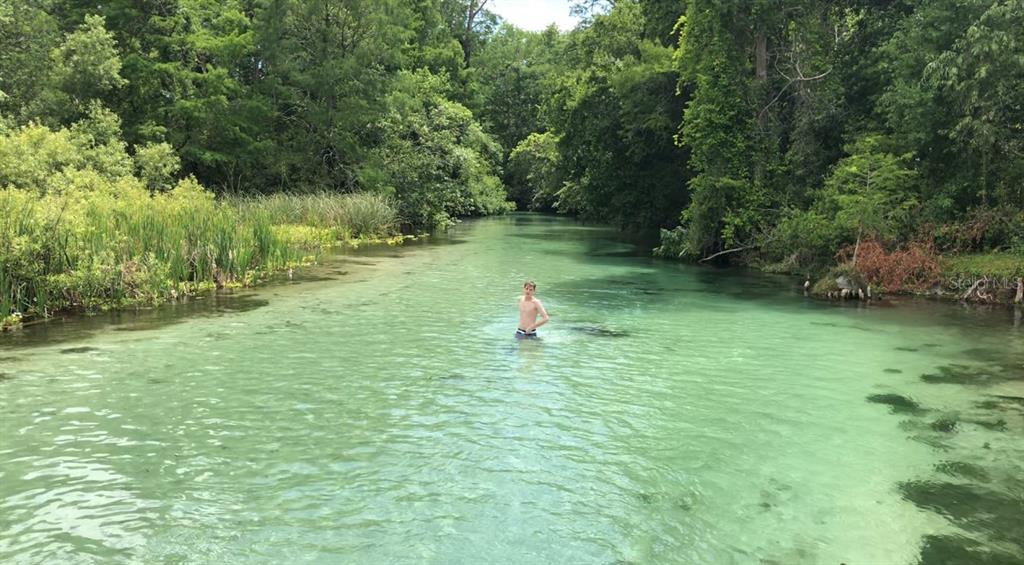 6499 Nebula Street Weeki Wachee, FL 34613 - Photo 54 of 54 a backyard of a house with lots of green space and garden