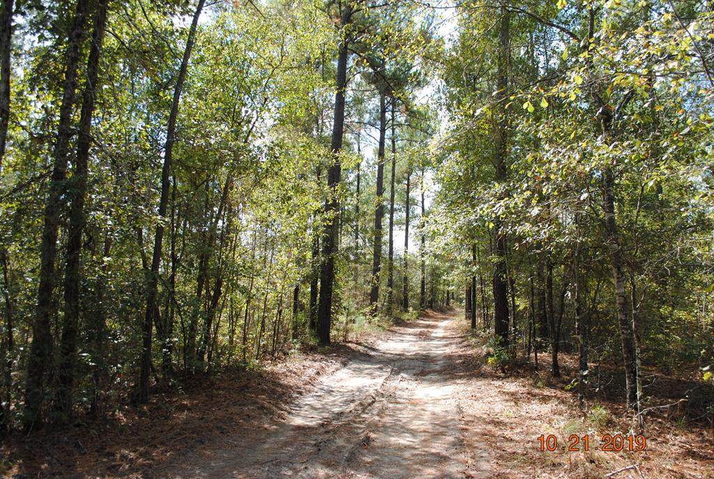 0 Barefield Road Millen, GA 30442 - Photo 1 of 4 Main View