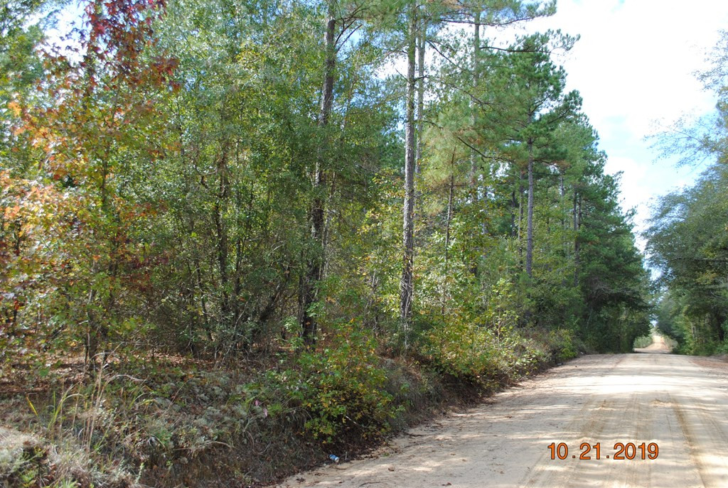 0 Barefield Road Millen, GA 30442 - Photo 2 of 4