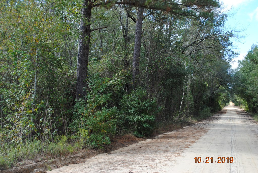 0 Barefield Road Millen, GA 30442 - Photo 3 of 4