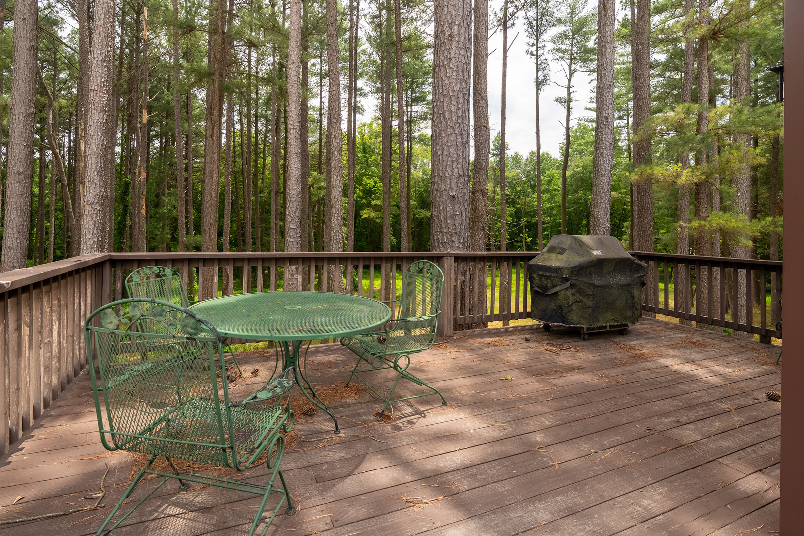 13602 Greenbriar Road Carterville, IL 62918 - Photo 53 of 64