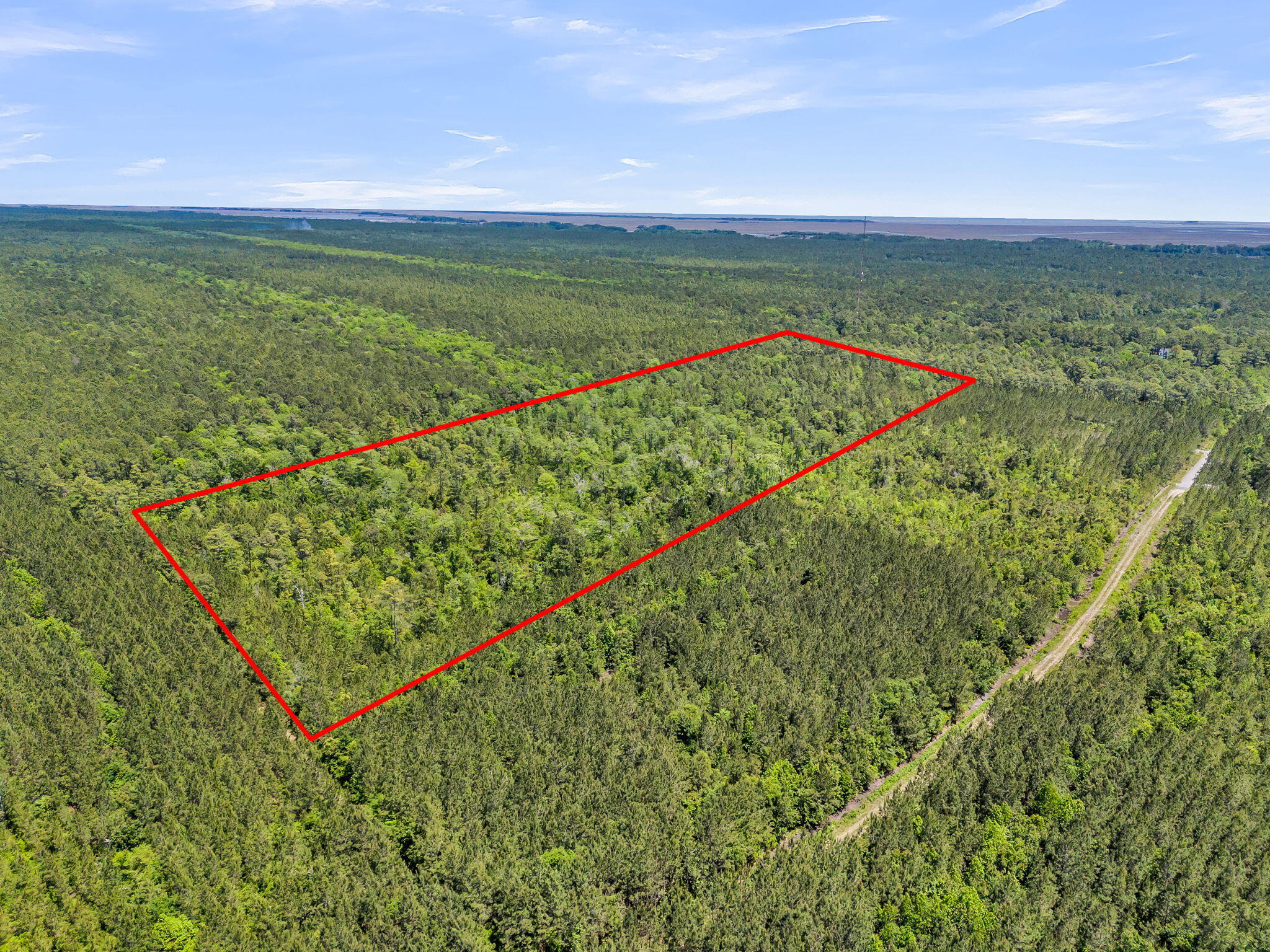 0 Deas Hill Road McClellanville, SC 29458 - Photo 5 of 20
